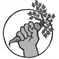 article1245.jpg