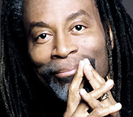 article4431.jpg