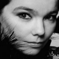 article956.jpg