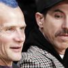 ������� ������ ����� ����� ���� ��� RHCP